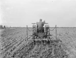 Machinery Prints: A farmer on his tractor cultivate a field. 1935
