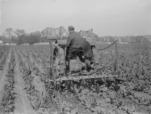 Farming Prints: A farmer on a tractor cultivating a field. 1935