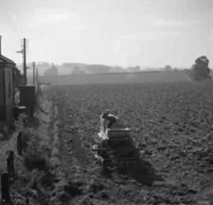 Machinery Prints: A farmer on a tractor ploughing a field. 1936