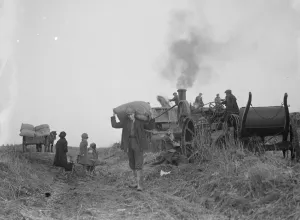 Farmer Prints: A farming scene. Farm workers in Farningham at work using a steam engine and belt
