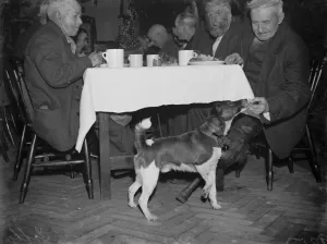 Farnborough Institute Christmas. 1934