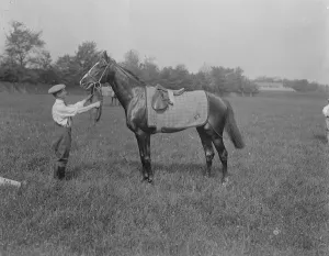 Groom Prints: One of the favourites for the Derby. Re Echo. 29 May 1922