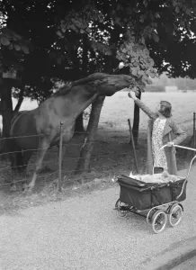 Lady Prints: Feeding a horse on a walk. 1937