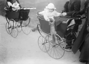 Undated Prints: Feeding the squirrels