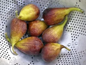 Fruits Prints: Figs draining in old aluminium colander credit: Marie-Louise Avery / thePictureKitchen