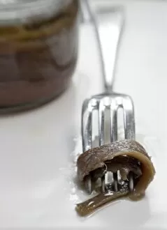 Ingredients Collection: Fillets of anchovies in oil in preserving jar, with single fillet on a fork credit