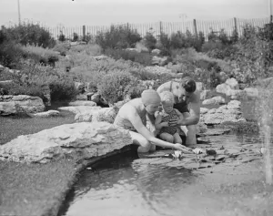 Bathing Wear Prints: At Finchley Open Air Baths Frank Mose ( Arsenal Football Cub ) with his wife