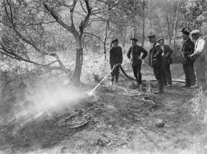 Firemen attempt to put out a fire on Chislehurst Common, Kent. 1939