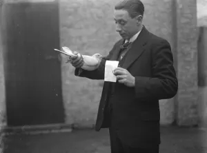 Animal Prints: The first bird home with Queen Alexandras message. Mr Edgar Rickard, with his storm pilot