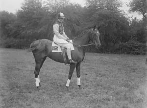 Animal Prints: First horse race for ladies only, takes place at Chertsey bankholiday sports. Miss