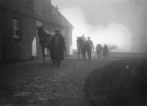 Horses Prints: First pictures of Heartbreak Hill in training at Lewes - the favoured Irish candidate