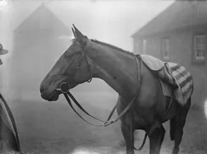 First pictures of Heartbreak Hill in training at Lewes - the favoured Irish candidate