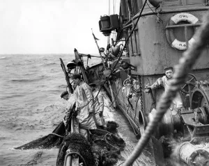 Fishermen on board a trawler in the North Sea hauling in their nets Fish where the fish are
