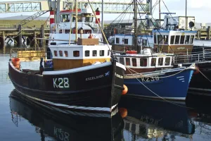 Fishing boats in harbour, Stromness