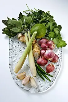 Glass Prints: Flavouring ingredients for Thai green curry credit: Marie-Louise Avery / thePictureKitchen