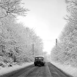 Snow Prints: Flimwell, Sussex: Snow laden trees lining a country road near Flimwell, Sussex, give