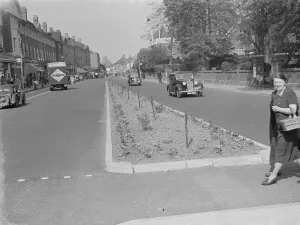 Heavy Horse Prints: Flowers planted on the central reservation of Orpington High Street, Kent