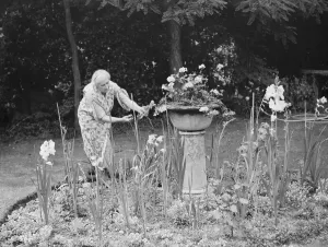 Font ( old ) used as garden flower stand. 1937