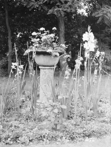 Garden Prints: Font ( old ) used as garden flower stand. 1937