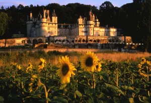 Landscapes Prints: France - Loire Valley - Chateau at Usse