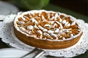 Outdoors Collection: French apricot tart, in Patisserie Lenoir in Valbonne, south of France credit