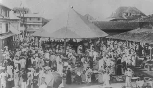 Busy Prints: French Guiana an overseas region of France on the North Atlantic coast of South America