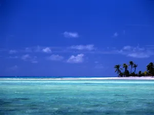 Natural Beauty Prints: French Polynesia Averami