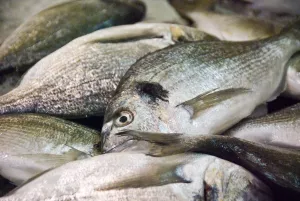Marble Prints: Fresh bream on slab of fishminger counter in covered market, Limassol, Cyprus credit