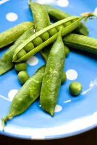 Blue Prints: Fresh garden peas in their pods on blue spotted plate credit: Marie-Louise Avery