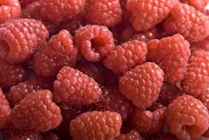 Raspberry Collection: Fresh whole raspberries credit: Marie-Louise Avery / thePictureKitchen / TopFoto