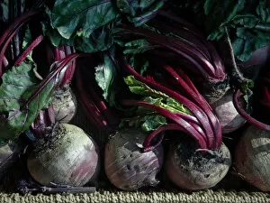 Organic Collection: Fresh whole raw beetroot for sale in box outside traditional greengrocers shop credit