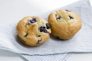 Freshly baked blueberry muffin on blue striped napkin. credit: Marie-Louise Avery