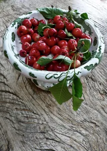 Gardens Prints: Freshly picked cherries from a Kentish garden in decorative pedestal bowl on rustic
