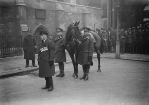 Funeral of Earl Haig. The charger of the late Field Marshal