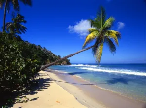 Galley Bay on the island of Antigua, West Indies