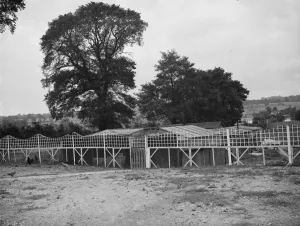 Fence Prints: The garden of cottage on Sandy lane in Cray Valley, Kent. 1938