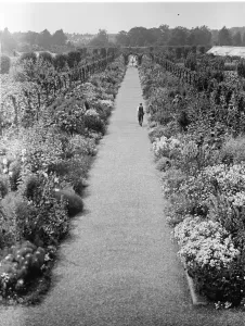 The gardens at the Kings country house, Sandringham, Norfolk. 22 August 1929