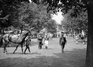 Gatwick Racecourse, Sussex, England. A picturesque scene in the paddock at Gatwick