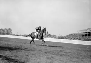 Gatwick Racecourse, Sussex, England. Nasu ridden by W Rickaby cantering