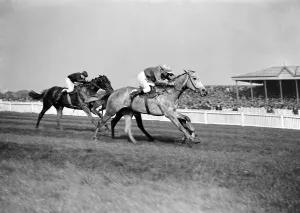 Gatwick Racecourse, Sussex, England. Mr Stanley Woottons Eastern Slave