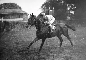 Gatwick Racecourse, Sussex, England. Mr E H Gregorys Sanity, ridden