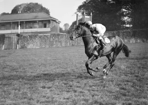 Gatwick Racecourse, Sussex, England. Caprisho ridden by K Gethin, cantering