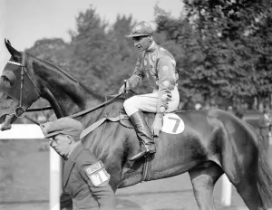 Race Horse Prints: Gatwick races, Sussex, England. Jockey, R Dick. 5 October 1933