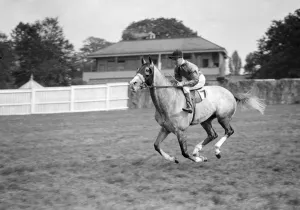 Race Track Prints: Gatwick races, Sussex, England. Grey Carey ridden by T Lowrey
