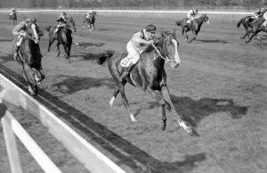 Racing Prints: Gatwick Races, Sussex, England. Donatia ridden by H Packham
