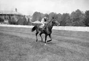 Race Horse Prints: Gatwick Races, west Sussex, England. Rawana, ridden by Gordon Richards, canters