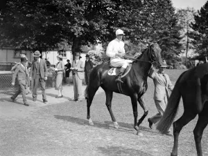 Spectators Prints: Gatwick races, west Sussex, England Zelmos, ridden by W Sibbritt, canters