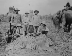 General Bruce on record tiger shooting expedition. General Bruce, the leader