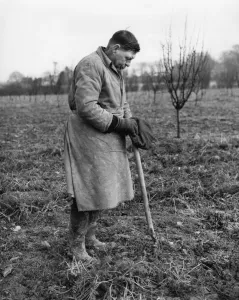 Fork Prints: George VI died in 1952. People all over the country kept a two minute silence