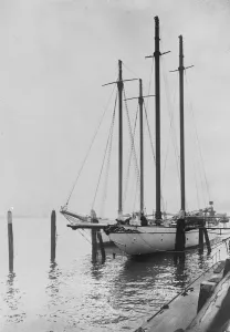 The German ex Royal racing yachts arrive at Rotterdam. The ex Kaisers yacht